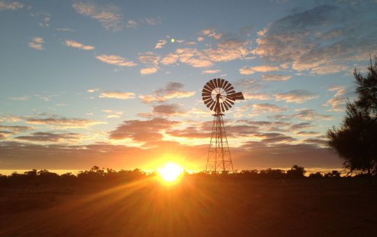 Sunset with Windmill